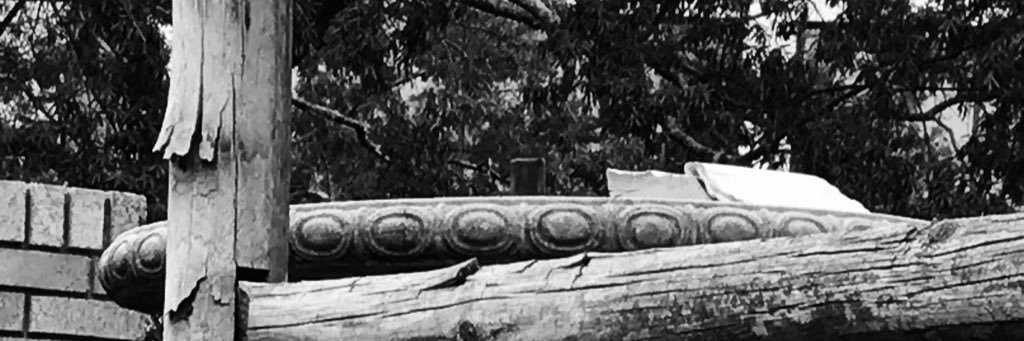 Catherine Shuler banner
