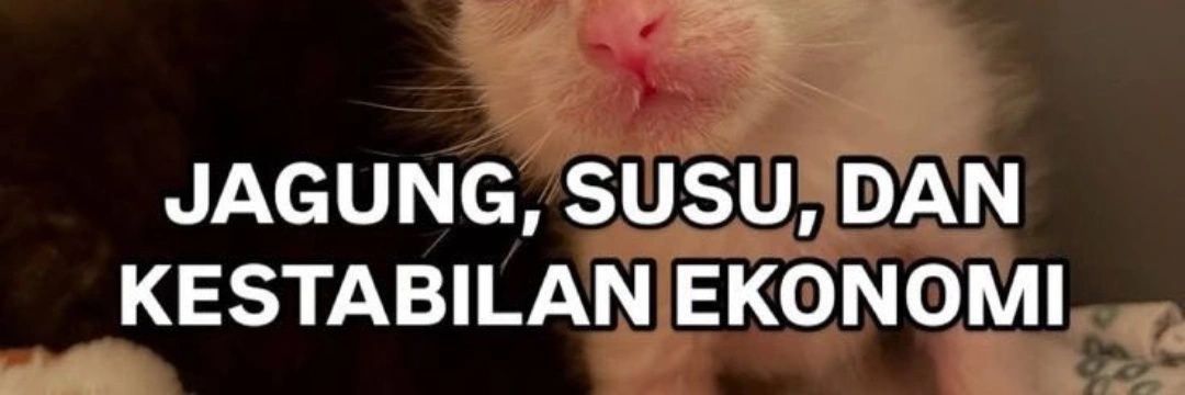 cicak dididin banner