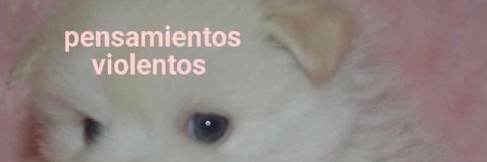 mamas imensas banner