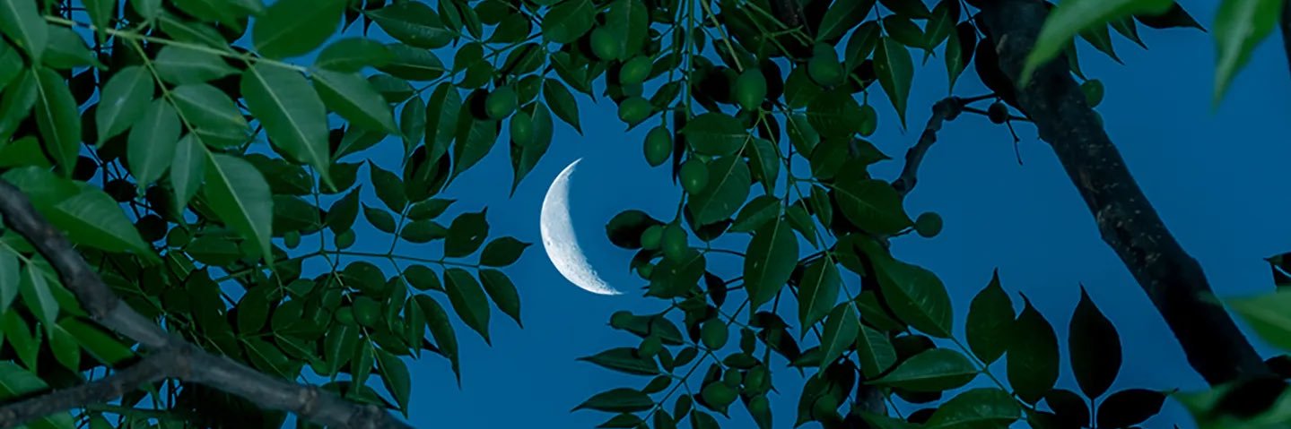 ZZ_0834's profile banner image