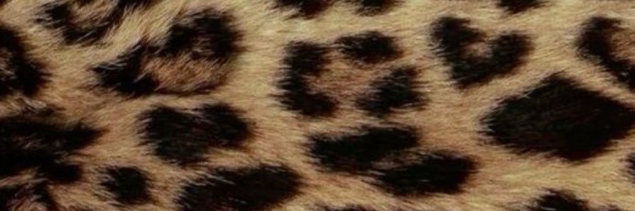 _raemariee's profile banner image