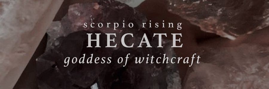 altacervo's profile banner image