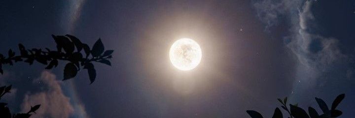 luci banner