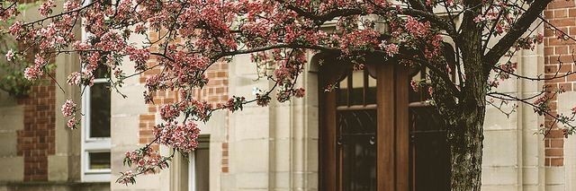 sei banner