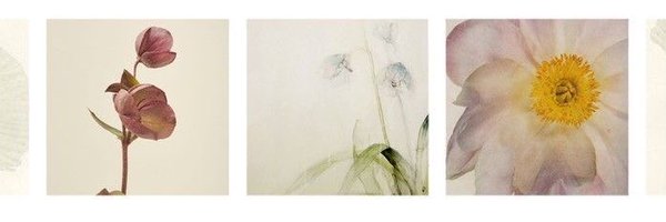 stancyfied Profile Banner