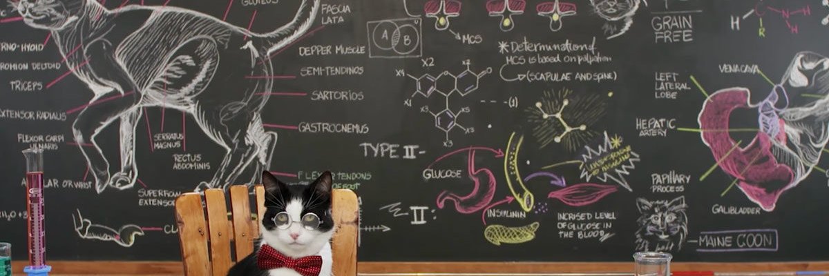 Charlaxy's profile banner image