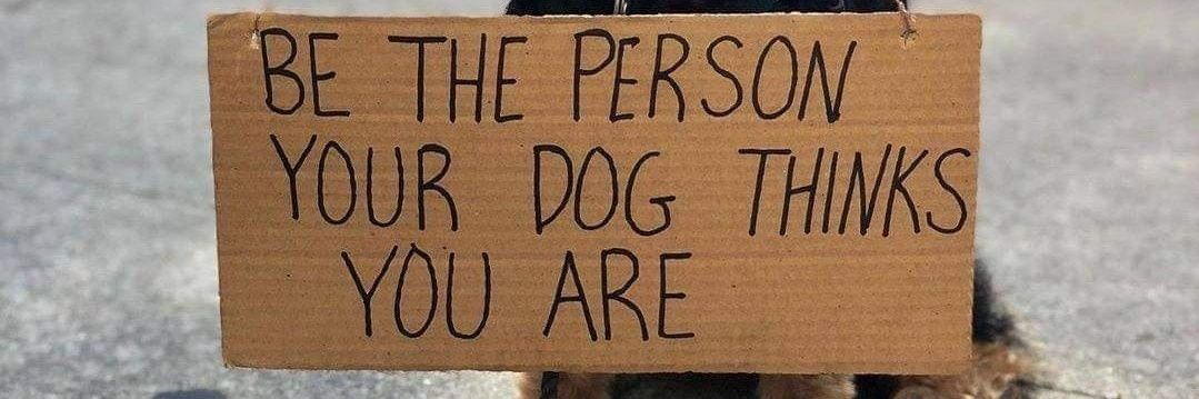 Ezequiel Manavela banner