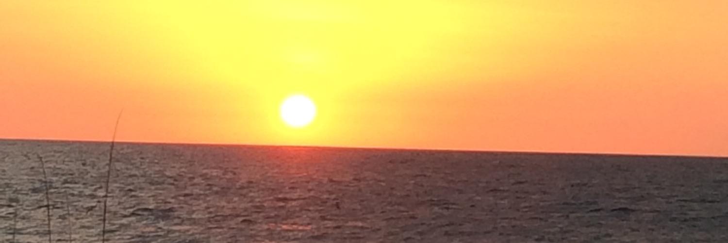 ammitchell23's profile banner image