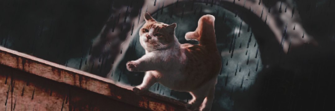 TheHunter_BR's profile banner image