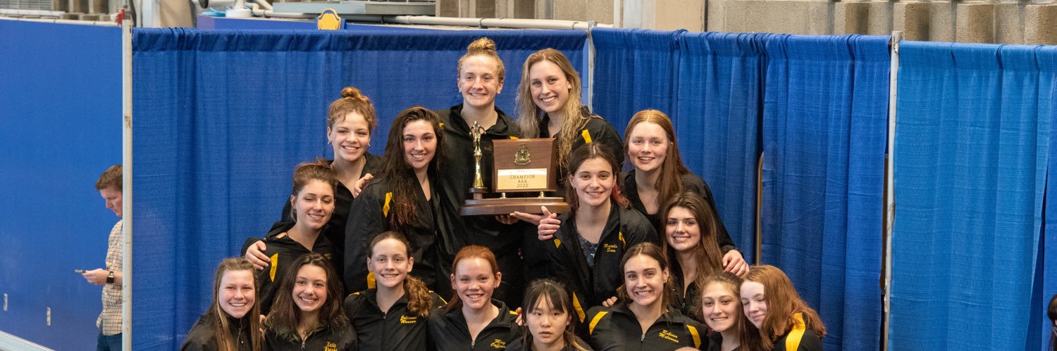 NA Swimming & Diving banner