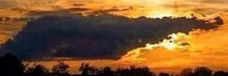 Kim Kallenberg banner