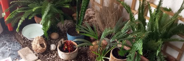 SibagobeN Profile Banner