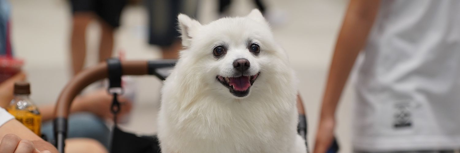 freshjune's profile banner image
