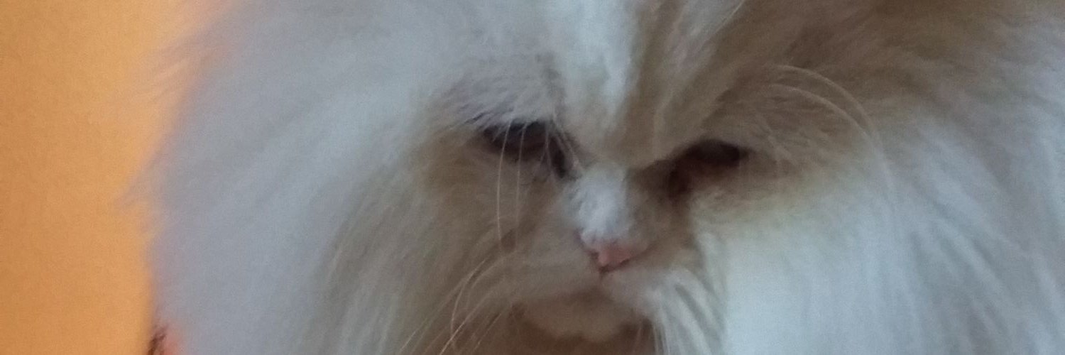 unnknijo's profile banner image
