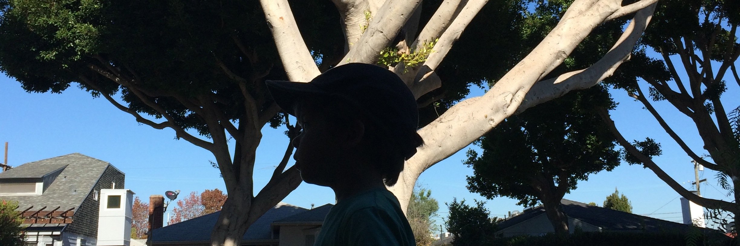drkpoj's profile banner image