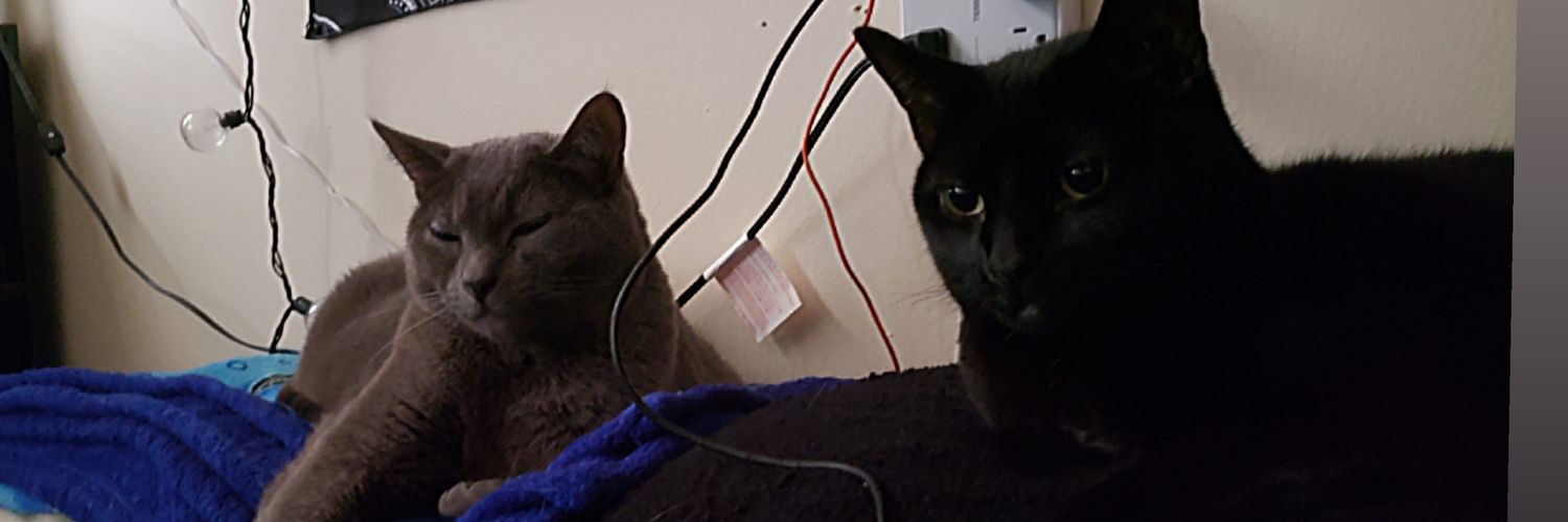 Novaandbugs's profile banner image