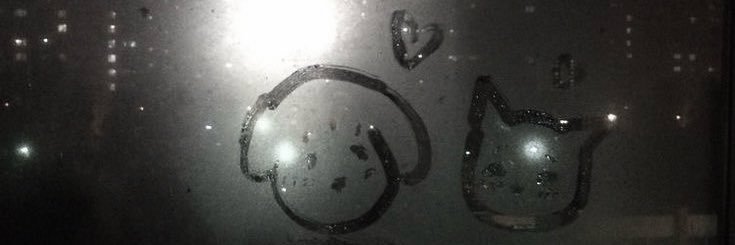 lili ascends with curiosity ݁ ˖Ი𐑼⋆ banner