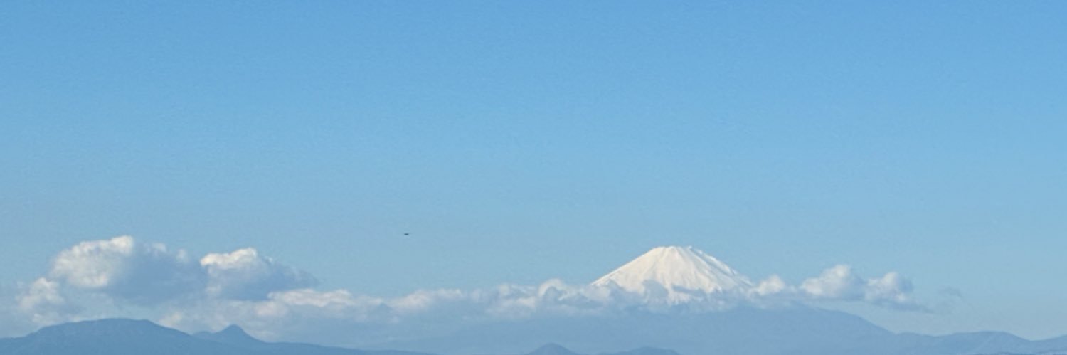 sun🐻💿(さん) banner