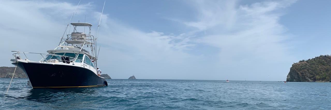 VilmaryP's profile banner image