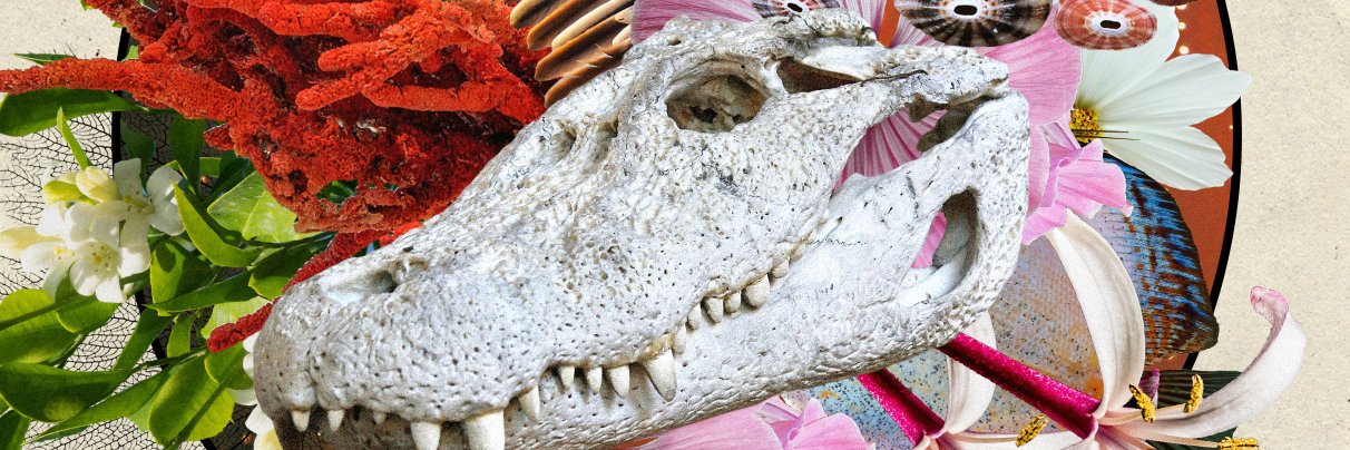 Tyler Gillespie banner