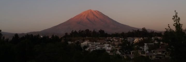 queenoflizards banner