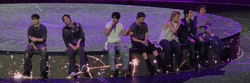 IndigoFlamingo_'s profile banner image