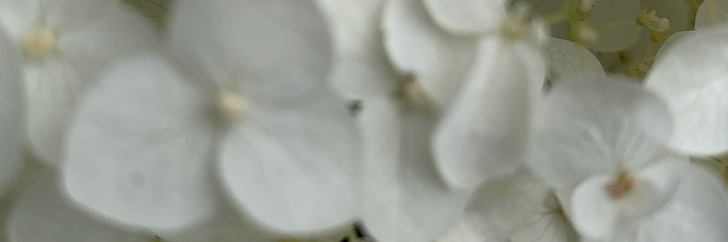 MoBeste banner