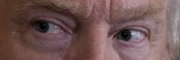 TrumpTheHun's profile banner image
