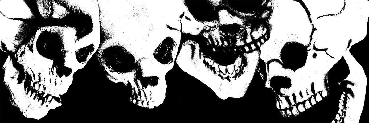 viiirrex's profile banner image