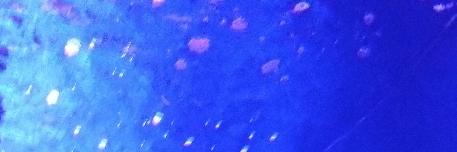 はいじ(灰白)🐄 banner