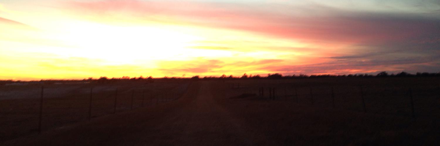 dylan_oglesby's profile banner image