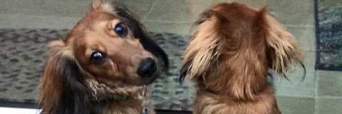 VeezyJ617's profile banner image