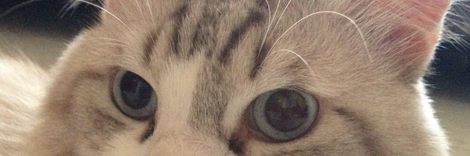 Miadwiar's profile banner image