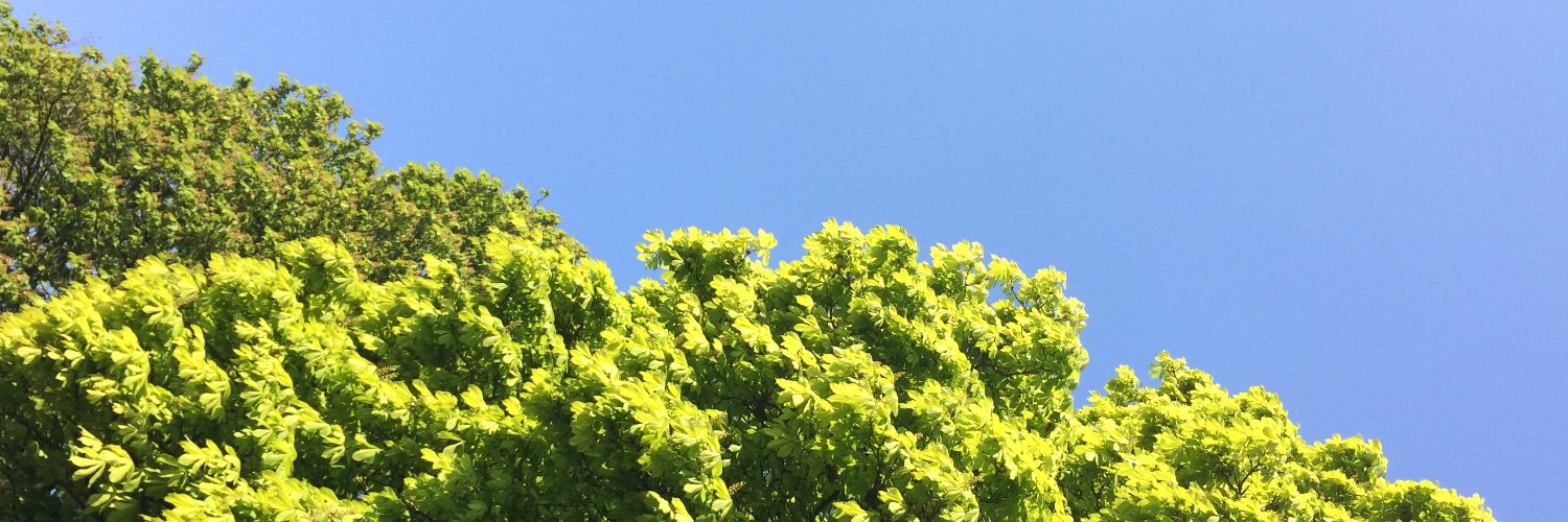 HiggsCatcher's profile banner image