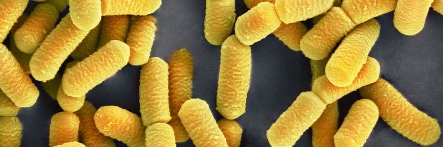 ANTrombert's profile banner image