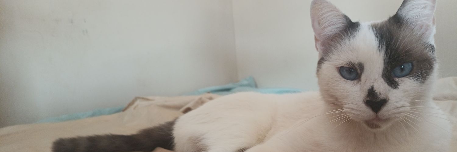 barbyf24's profile banner image