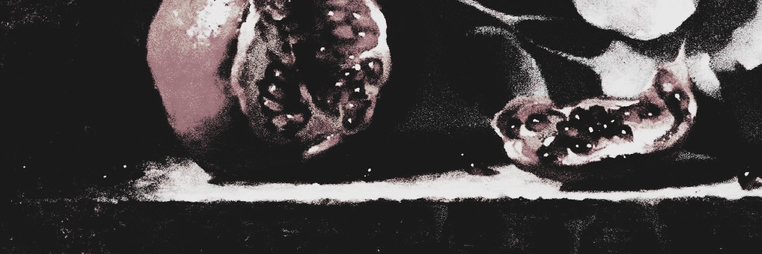 batshymn's profile banner image