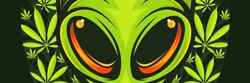 dmitryfilio's profile banner image