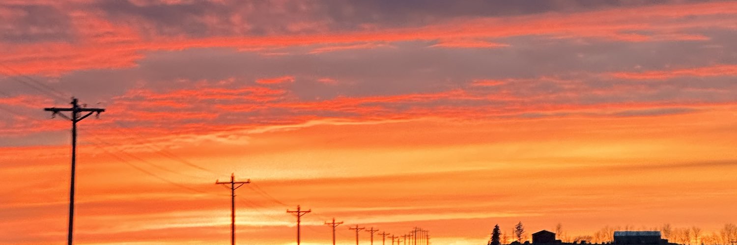 reginargxo's profile banner image