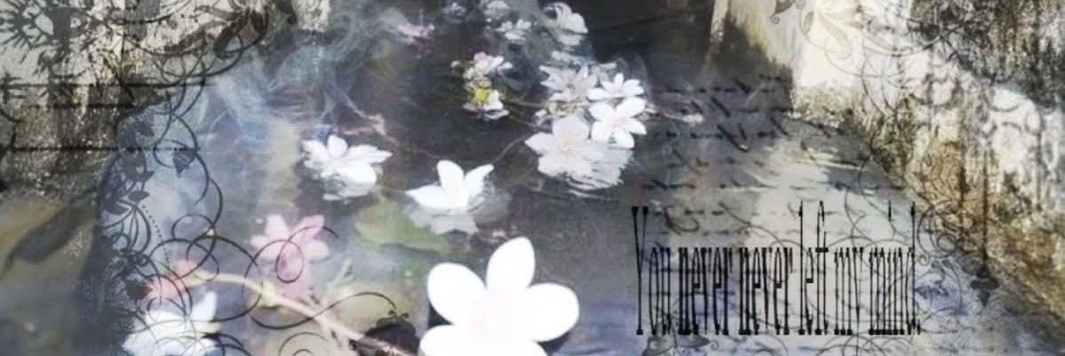 timkonism's profile banner image