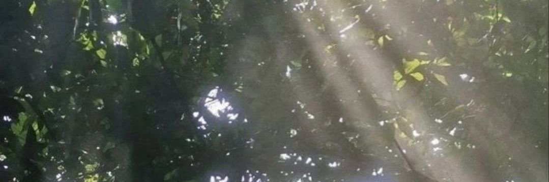Joudtheyeb's profile banner image