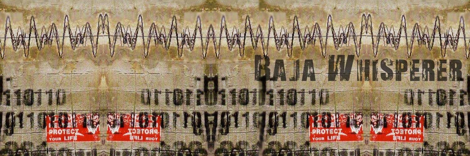 BajaWhisperer's profile banner image