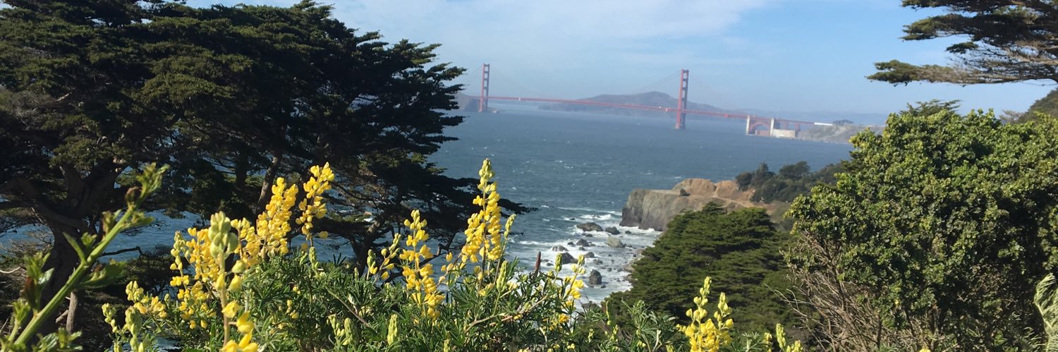 segsj's profile banner image