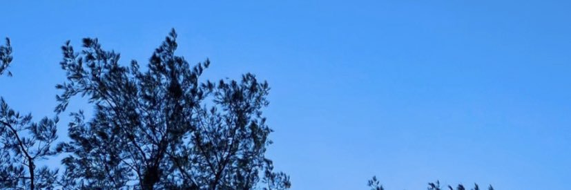 Greddd's profile banner image