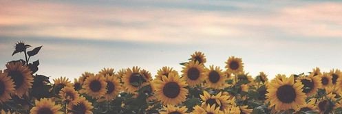 robusilly's profile banner image