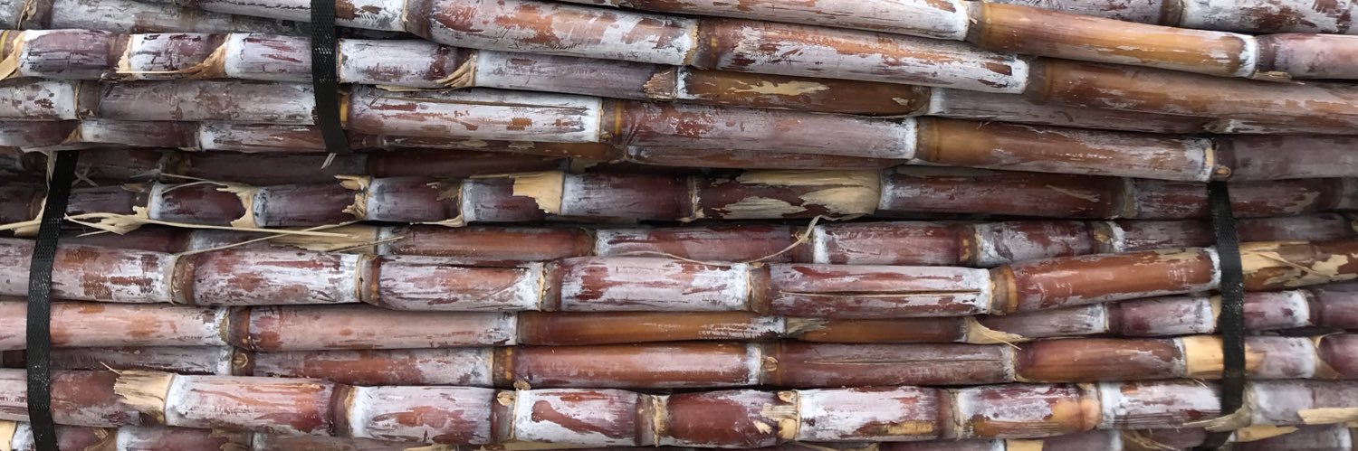 TheFloatingRumShack banner