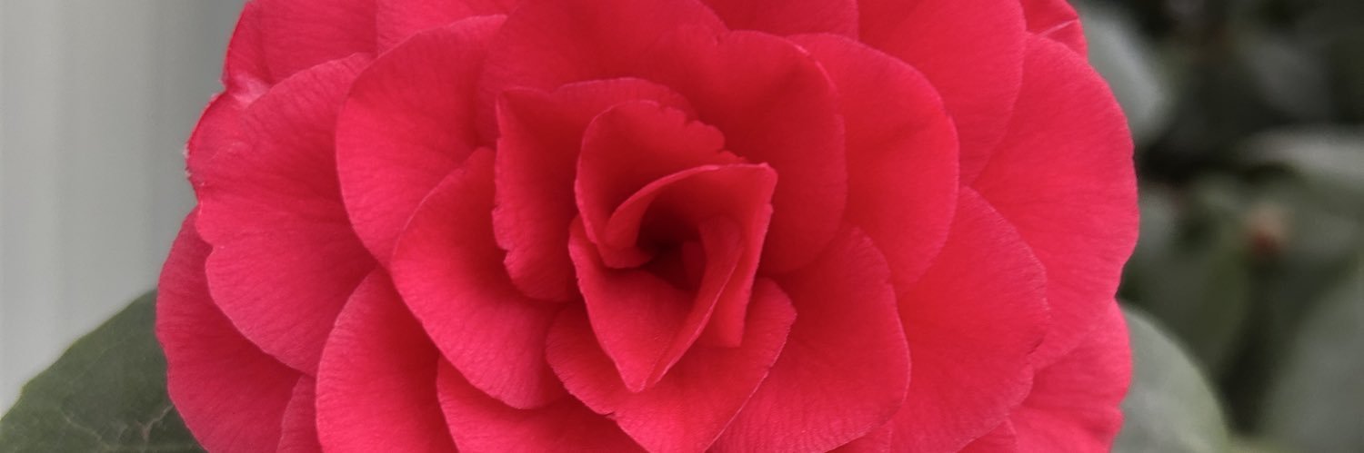 _mamasteff's profile banner image
