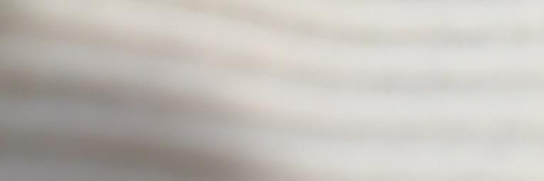 sasamikawa's profile banner image