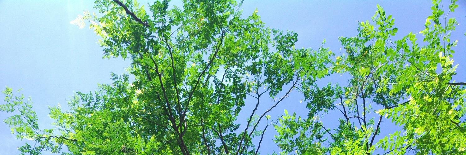 viskaaaaa's profile banner image
