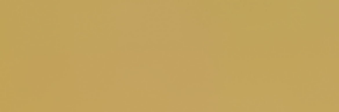 bothsideshow's profile banner image